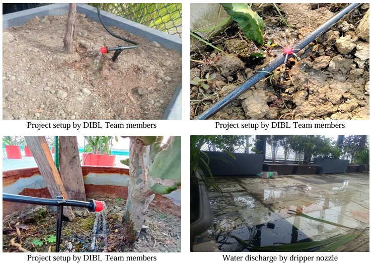 Revolutionizing Urban Gardening DIBL's Smart Drip Irrigation System for Dragon Fruit