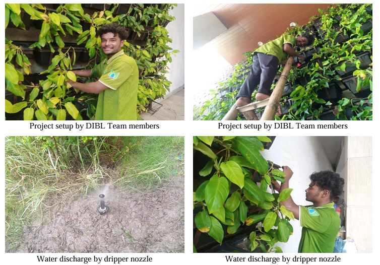 Revolutionizing Urban Green Spaces DIBL's Innovative Vertical Garden Project Transforms Cityscapes