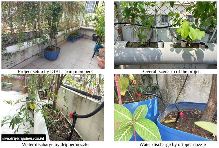 Rooftop Drip Irrigation DIBL's Urban Gardening Success in Dhaka