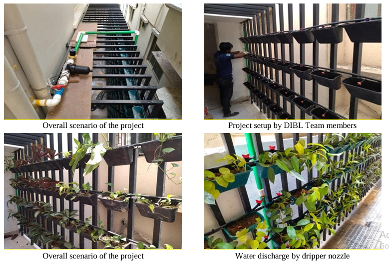 Scaling New Heights DIBL's Advanced Vertical Garden Systems for Smarter Urban Greenery