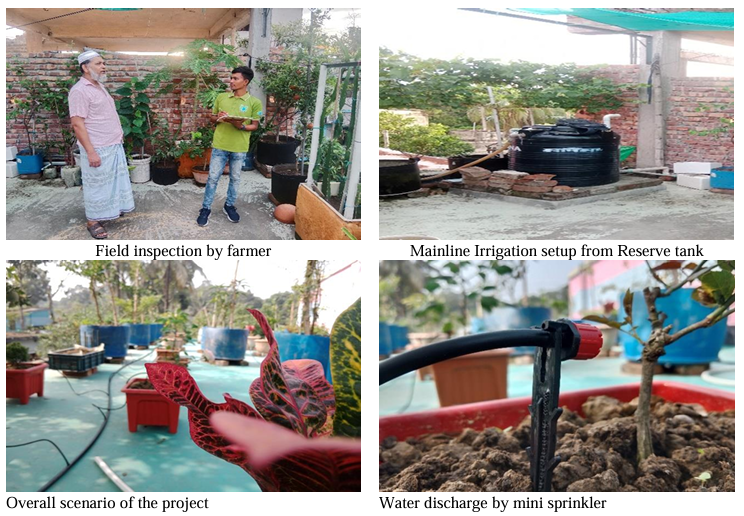 Transforming Rooftop Gardens with Smart Drip Irrigation in Dhaka