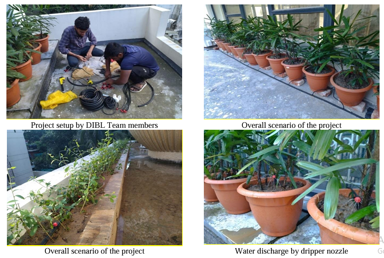 Urban Greening Made Easy DIBL's Drip Irrigation Transforms Rooftops Drip Irrigation BD