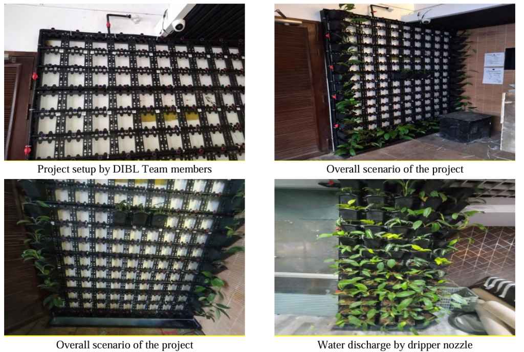 Green Walls Indoors DIBL's Smart Vertical Gardens for Modern Spaces