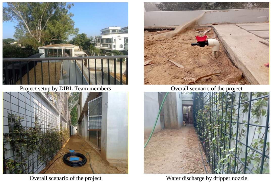 Green Walls, Smart Watering DIBL's Drip Irrigation for Vibrant Vertical Gardens