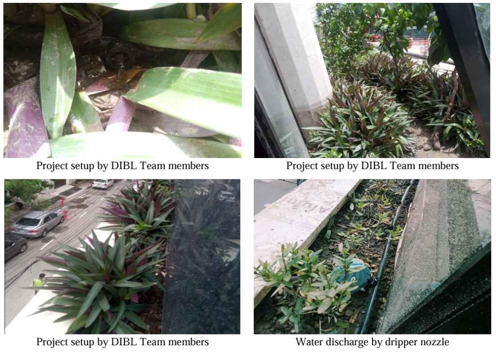 Revolutionizing Urban Green Spaces DIBL's Smart Drip Irrigation for Beautiful Balconies and Rooftops