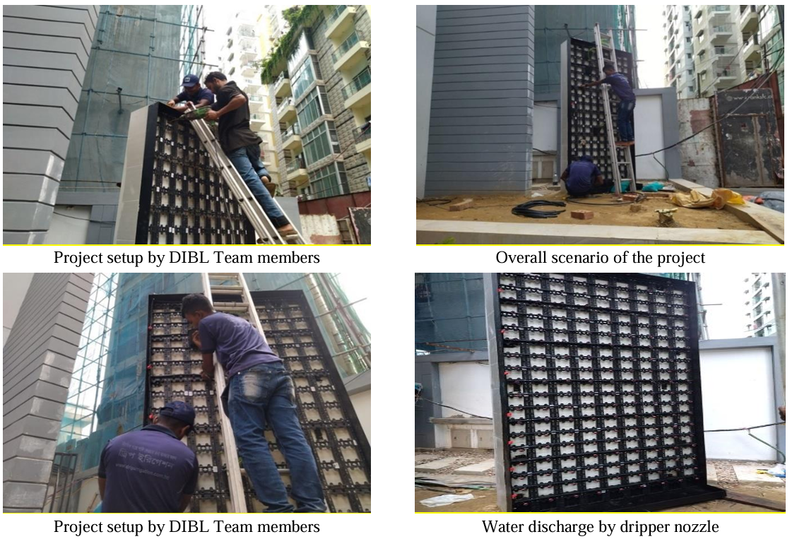 Transform Your Urban Space DIBL's Innovative Vertical Garden Solutions