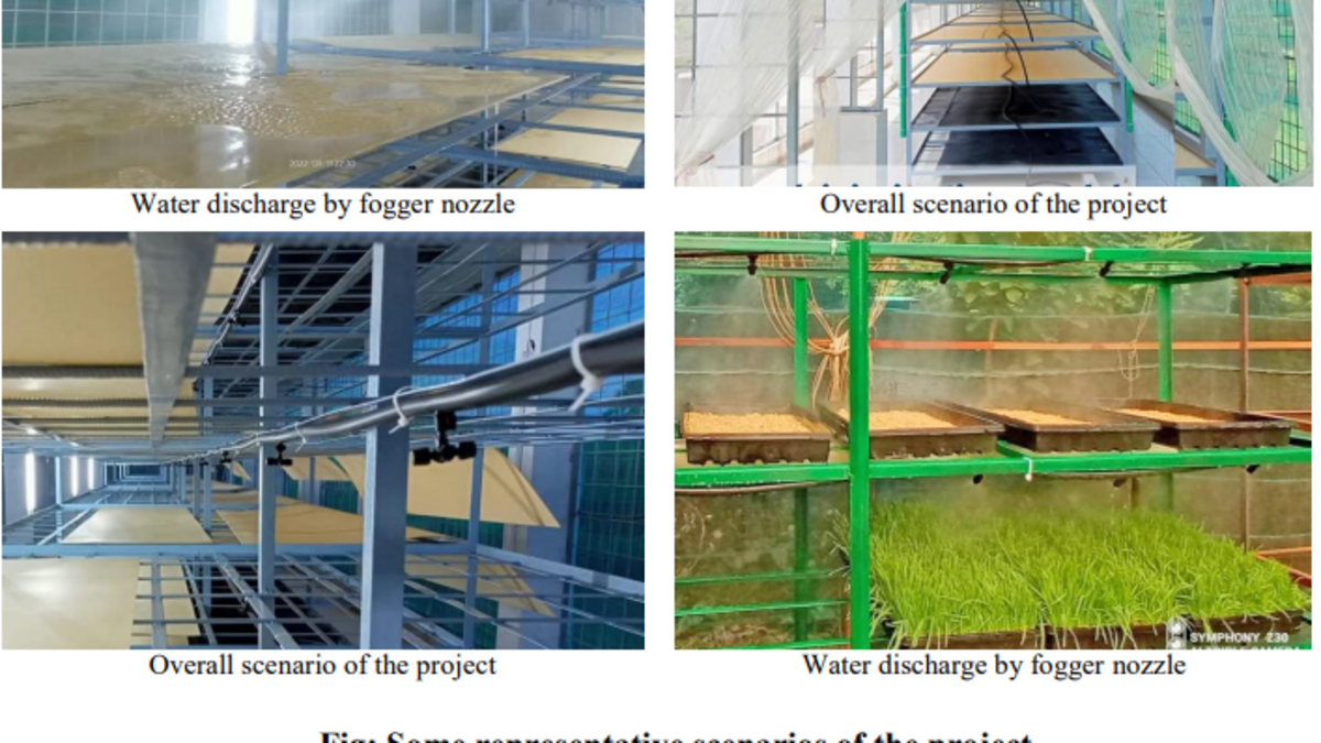 Proven Success: Fogging Irrigation Munshiganj for Hydroponic Grass Cultivation 2 Fogging Irrigation Munshiganj Hydroponic Grass Project