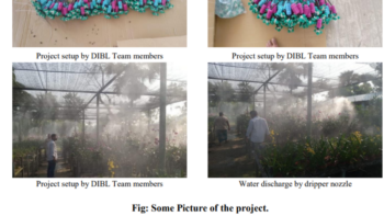 Drip Irrigation BD Ltd (DIBL) 75 fogging irrigation Narayanganj অর্কিড শেডে DIBL
