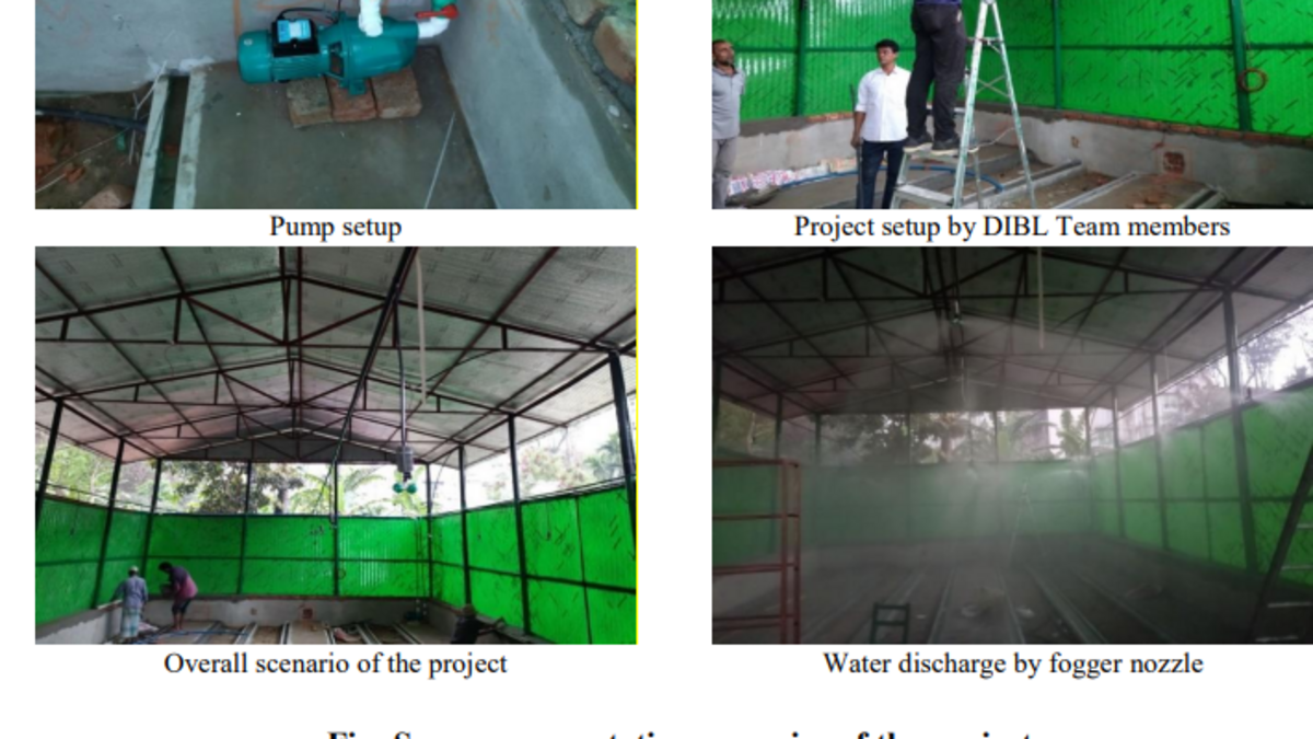 Successful Fogging System Installation in a Mushroom Shed at Ambagan, Chattogram 2 fogging system mushroom Chattogram, Ambagan