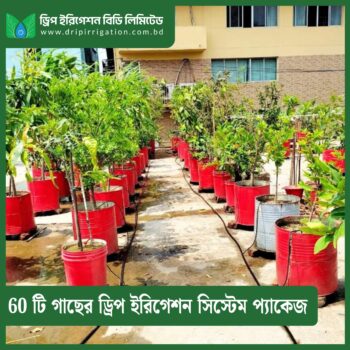 60 plants drip irrigation system package