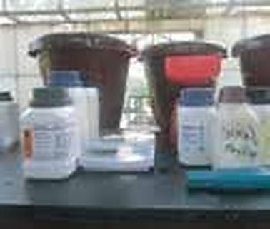 পাঠ ৩.০৩: কেন স্টক সলিউশন এ (Tank A) এবং বি (Tank B) আলাদা রাখা হয়? (দ্রাব্যতা ও অধঃক্ষেপণ রসায়ন) 3 চিত্র ৩.০৩-খ: বারি (BARI) হাইড্রোপনিকস ম্যানুয়াল অনুযায়ী স্টক সলিউশন এ এবং স্টক সলিউশন বি পৃথক পাত্রে সংরক্ষণ