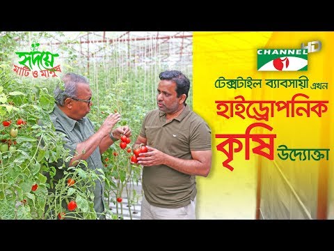 বাণিজ্যিক এনএফটি (NFT) চ্যানেল প্রকৌশল — ১:৪০ ঢাল, পাম্পের প্রবাহ ও ফুড-গ্রেড ইউপিভিসি পাইপ 3 ঢাকার দোহারে ফুড-গ্রেড ইউপিভিসি চ্যানেলে পরিচালিত বাণিজ্যিক এনএফটি হাইড্রোপনিক খামার