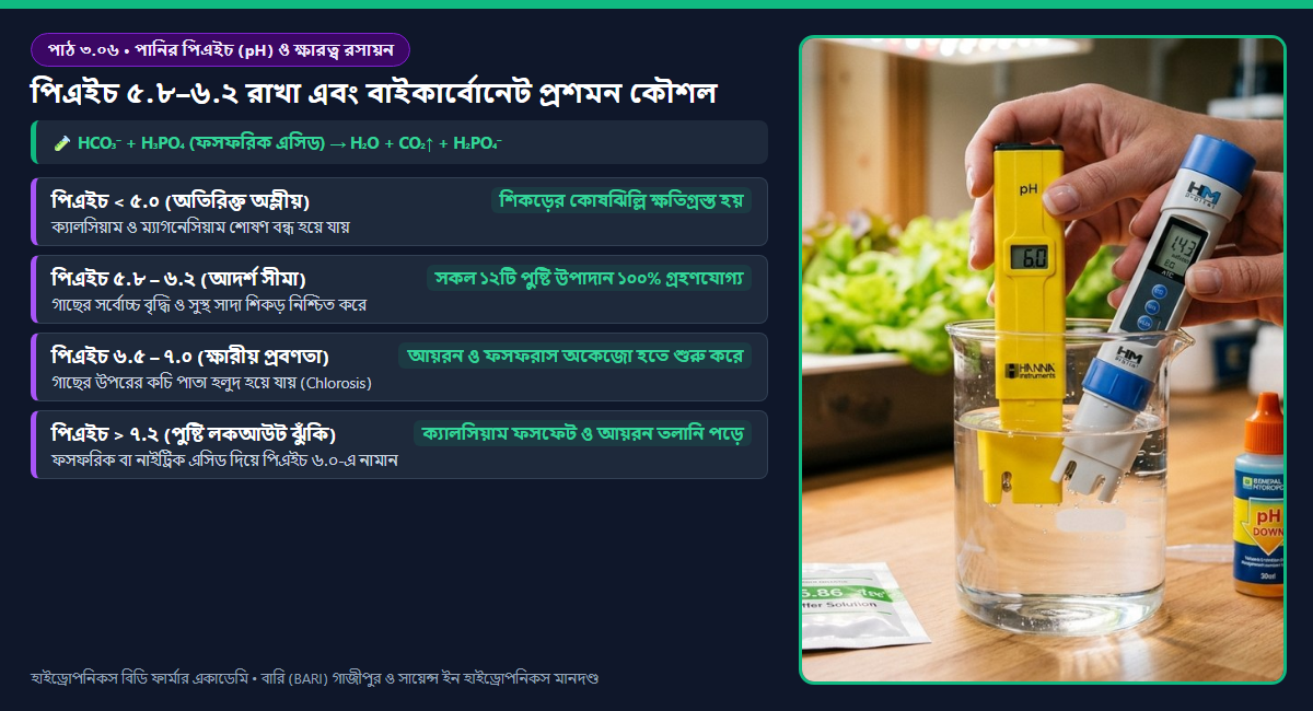 পাঠ ৩.০৬: পানির পিএইচ (pH) রসায়ন, বাইকার্বোনেট ক্ষারত্ব এবং এসিড দিয়ে পিএইচ নিয়ন্ত্রণের কৌশল 2 চিত্র ৩.০৬: হাইড্রোপনিকস দ্রবণে পিএইচ (pH) মাত্রার সাপেক্ষে ১২টি পুষ্টি উপাদানের প্রাপ্যতা ও ফসফেট স্পেসিয়েশন চার্ট