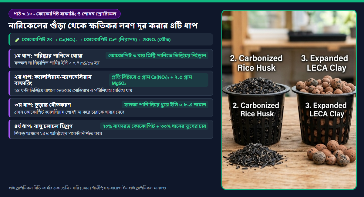 পাঠ ৩.১০: কোকোপিট বাফারিং ও ক্যাটায়ন বিনিময় ক্ষমতা (CEC) — বাংলাদেশের নারিকেলের গুঁড়া শোধনের বৈজ্ঞানিক প্রোটোকল 2 চিত্র ৩.১০: কোকোপিট তন্তুর ক্যাটায়ন বিনিময় সাইট (CEC) থেকে সোডিয়াম ও পটাশিয়াম সরিয়ে ক্যালসিয়াম ও ম্যাগনেসিয়াম বাফারিং প্রক্রিয়া