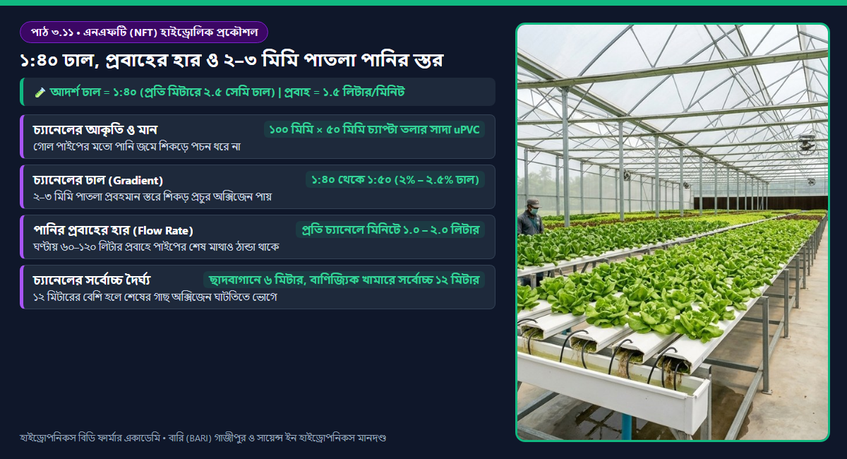 পাঠ ৩.১১: এনএফটি (NFT) চ্যানেলের হাইড্রোলিক প্রকৌশল — ঢাল, প্রবাহের হার, বাউন্ডারি লেয়ার ও অক্সিজেনেশন 2 এনএফটি চ্যানেলের হাইড্রোলিক প্রকৌশল: ১:৪০ ঢাল, ১-৩ মিমি পাতলা নিউট্রিয়েন্ট ফিল্ম এবং শিকড়ের বায়বীয় অক্সিজেন শোষণ অঞ্চল