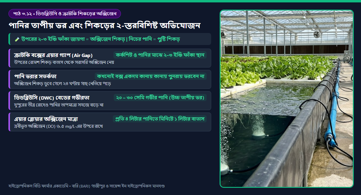 সক্রিয় ডিডব্লিউসি (DWC) এয়ার স্টোন অক্সিজেনেশন বনাম প্যাসিভ ক্রাটকি সিস্টেমের এরেনকাইমা অক্সিজেন শিকড়ের তুলনামূলক ডায়াগ্রাম