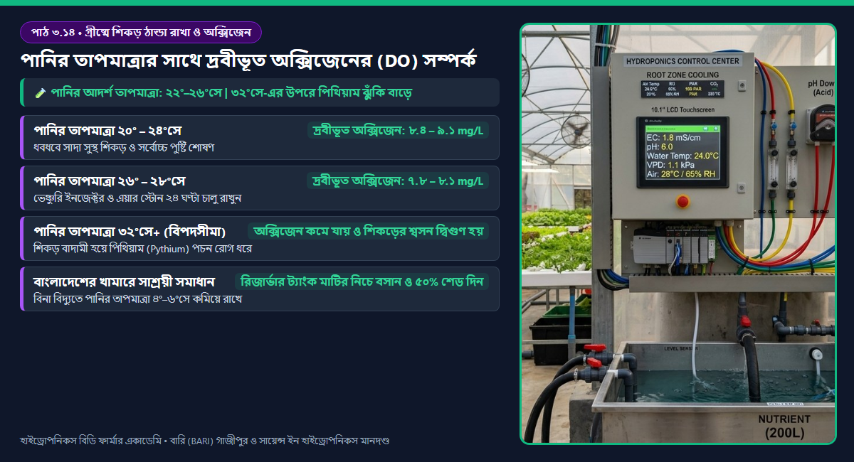 পানির তাপমাত্রার সাথে দ্রবীভূত অক্সিজেন (DO) হ্রাস এবং শিকড়ের অক্সিজেন চাহিদা (Q10) বৃদ্ধির সংঘর্ষ ও পিথিয়াম ঝুঁকি অঞ্চল ডায়াগ্রাম